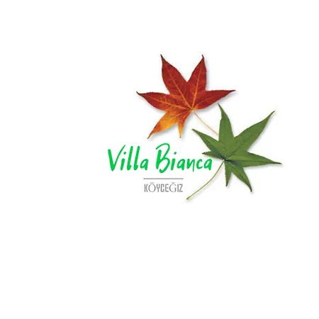 Вилла Bianca *
