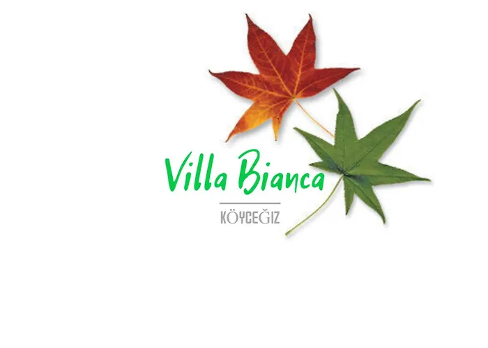 Вилла Bianca *